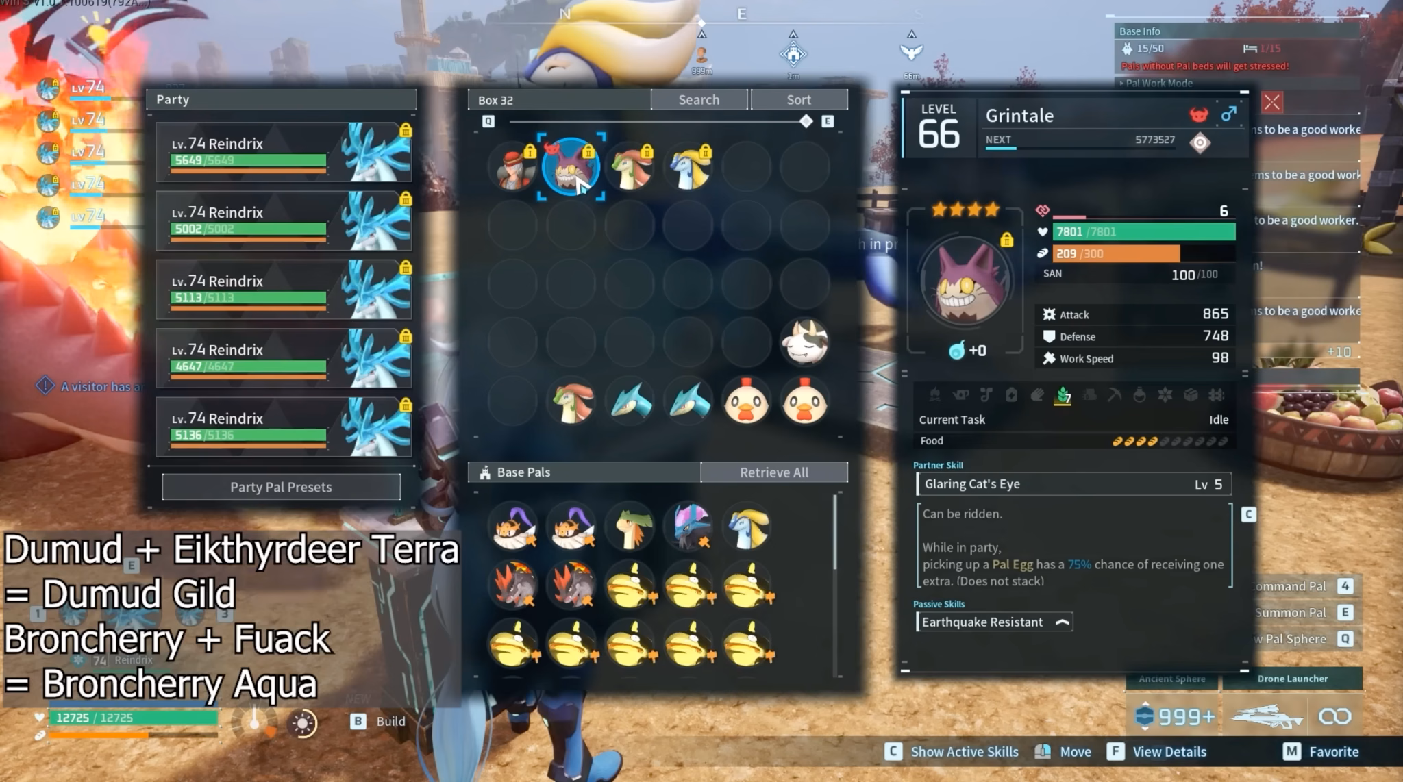 Breeding chain and Grintale egg bonus setup